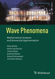 Icon image Wave Phenomena: Mathematical Analysis and Numerical Approximation