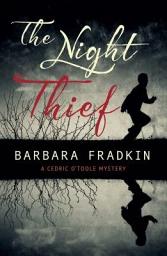 Icon image The Night Thief