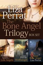 Icon image The Bone Angel Trilogy Boxset: French Historical Family Life