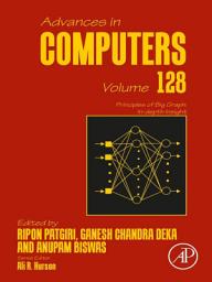 Icon image Principles of Big Graph: In-depth Insight