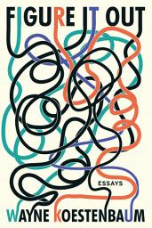 Icon image Figure It Out: Essays