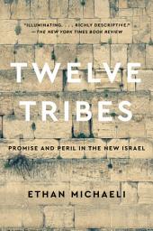Icon image Twelve Tribes: Promise and Peril in the New Israel