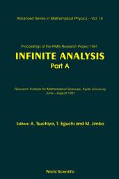 Icon image Infinite Analysis: (In 2 Volumes)Proceedings of the RIMS PROJECT 1991