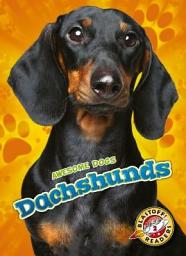 Icon image Dachshunds