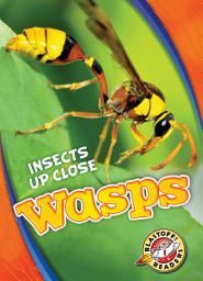 Icon image Wasps