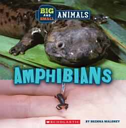 Icon image Amphibians (Wild World: Big and Small Animals)