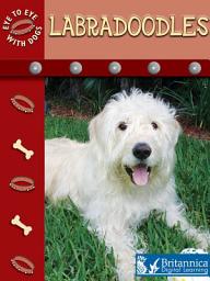Icon image Labradoodles