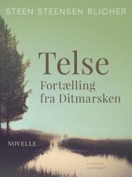Icon image Telse. Fortælling fra Ditmarsken