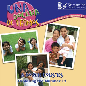 Icon image