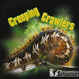Icon image Creeping Crawlers
