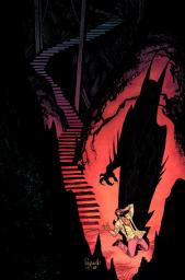 Icon image Batman (2011)