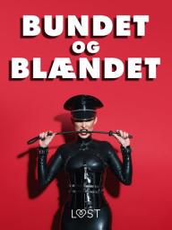 Icon image Bundet og blændet - erotiske noveller