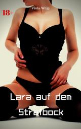 Icon image Lara auf dem Strafbock: BDSM Story, Ausgabe 2