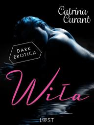 Icon image Wiła – słowiański dark romance