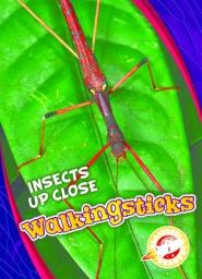 Icon image Walkingsticks