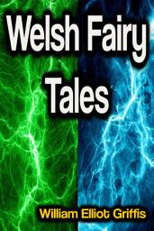 Icon image Welsh Fairy Tales
