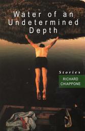 Icon image Water of an Undetermined Depth
