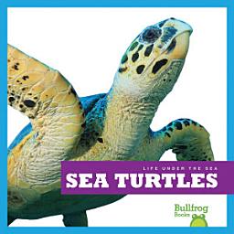 Icon image Sea Turtles