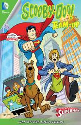 Icon image Scooby-Doo Team Up (2013)
