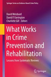 Icon image What Works in Crime Prevention and Rehabilitation: Lessons from Systematic Reviews