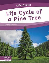 Icon image Life Cycle of a Pine Tree