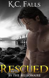 Icon image Rescued by the Billionaire (WET #3): New Adult Romance