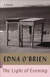 Icon image The Light of Evening: A Novel