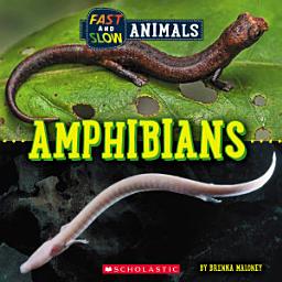 Icon image Amphibians (Wild World: Fast and Slow Animals)