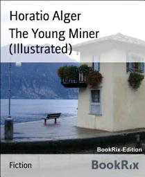 Icon image The Young Miner (Illustrated)