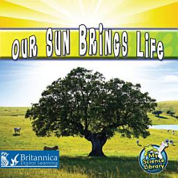Icon image Our Sun Brings Life
