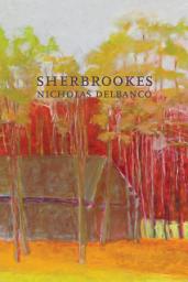 Icon image Sherbrookes: Possession / Sherbrookes / Stillness