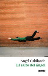 Icon image El salto del ángel. Palabras para comprendernos