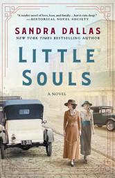 Icon image Little Souls: A Novel