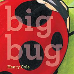 Icon image Big Bug: with audio recording