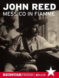 Icon image Messico in fiamme: Pancho Villa e l'insurrezione dei contadini raccontata e vissuta in prima persona da un giornalista rivoluzionario
