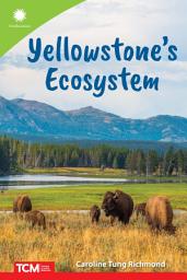 Icon image Yellowstone's Ecosystem