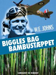 Icon image Biggles bag bambustæppet