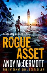 Icon image Rogue Asset