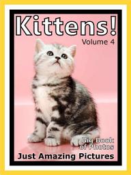Icon image Just Kittens! vol. 4: Big Book of Kitten Cat Baby Cats Photographs & Pictures