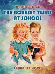 Icon image The Bobbsey Twins At School