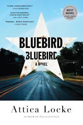 Icon image Bluebird, Bluebird