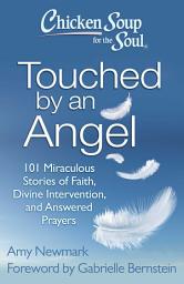 Icon image Chicken Soup for the Soul: Touched by an Angel: 101 Miraculous Stories of Faith, Divine Intervention, and Answered Prayers