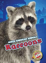 Icon image Raccoons