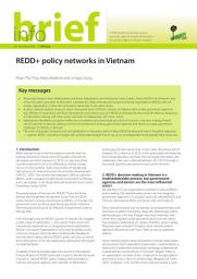 Icon image REDD+ policy networks in Vietnam
