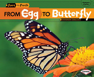 Icon image From Egg to Butterfly