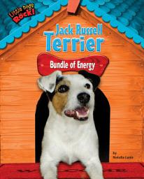 Icon image Jack Russell Terrier: Bundle of Energy