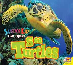 Icon image Sea Turtles