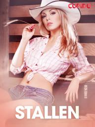 Icon image Stallen – erotiske noveller