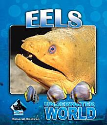 Icon image Eels