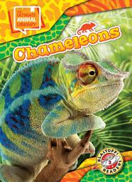 Icon image Chameleons